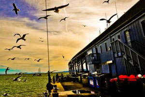 在线短信网页版免费版